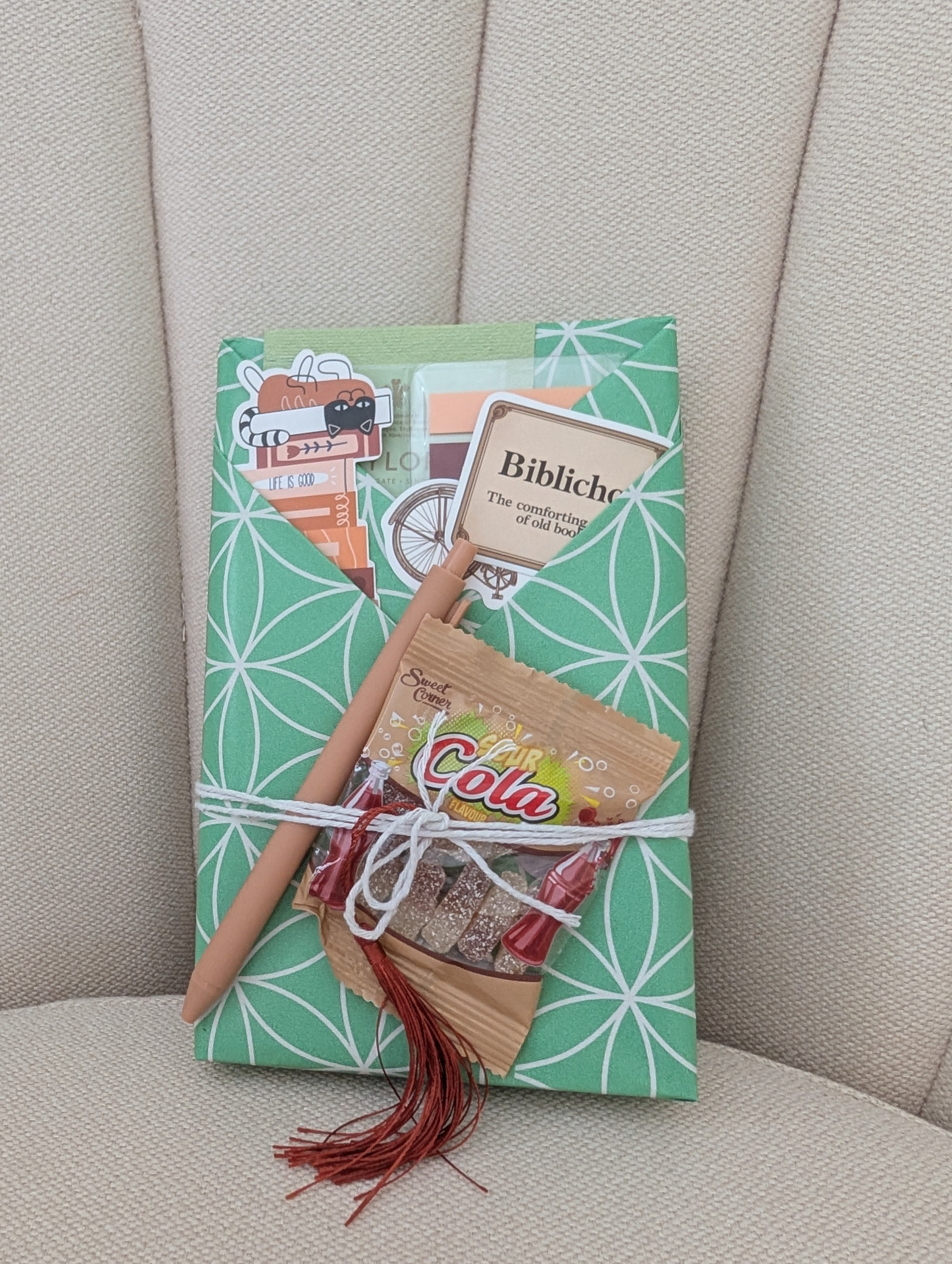 Blind Date With A Book - New Book | Surprise Book Gift | Mystery Book Lover Gift